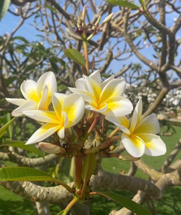 о-в Занзибар