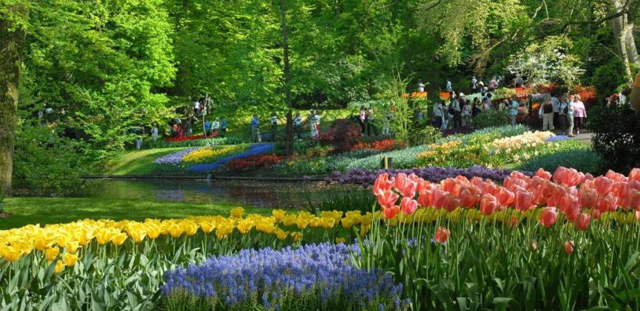 Настаняване в 2* или 3*