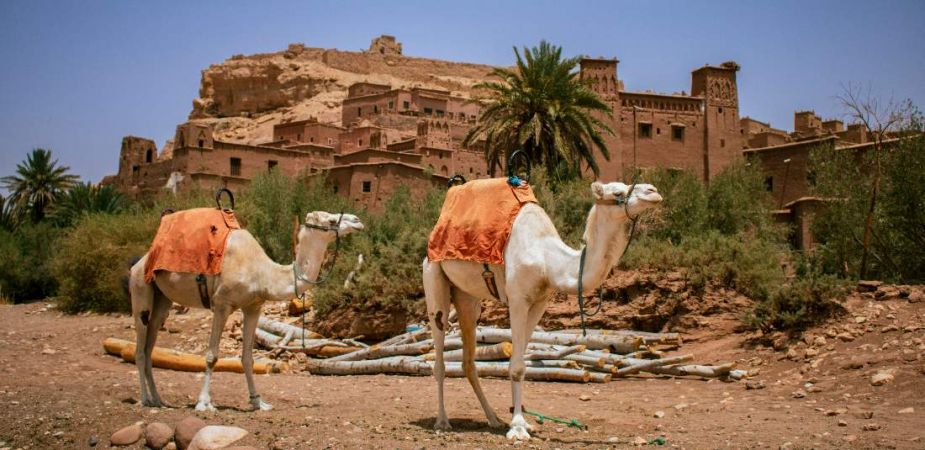 категория 4*