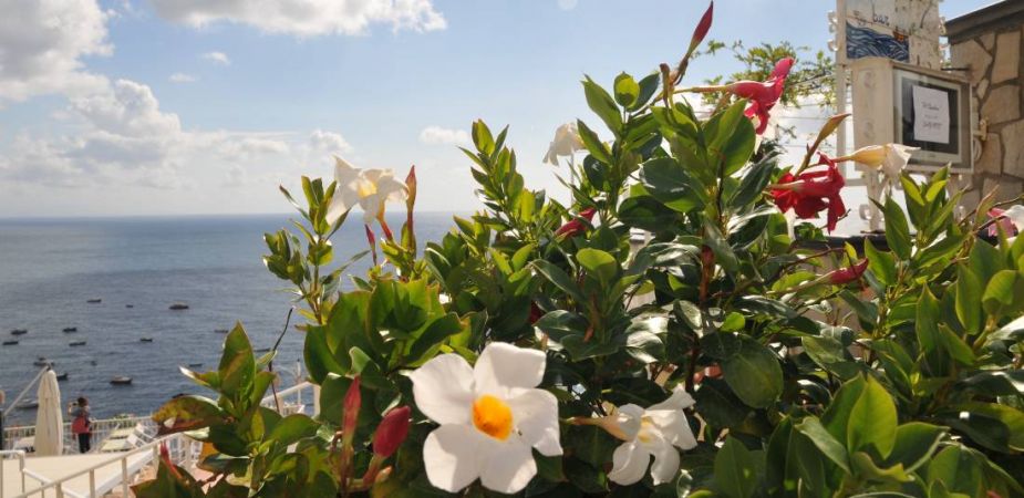 Настаняване в 3* или 4*