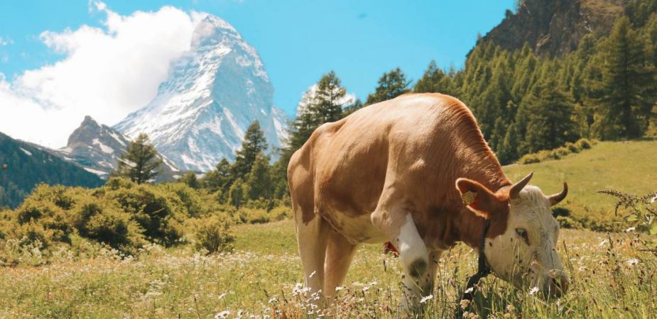 Наст. в хотели 4, 3 и 2 звезди