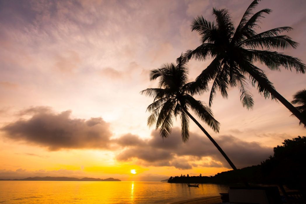 Почивка в Кушадасъ,Турция с автобус от Варна - 12 нощувки