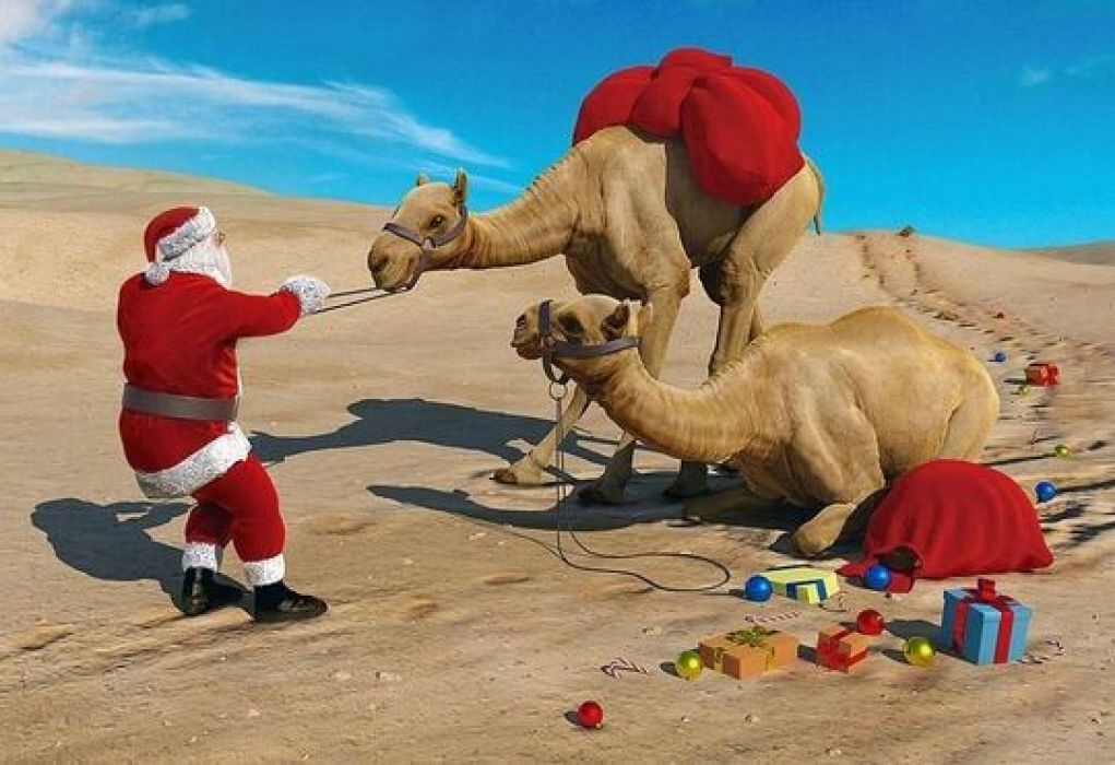 Коледа - Чартър до Шарм Ел Шейх от София - 7 нощувки