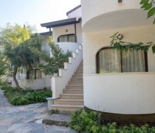 DOGAN PARADISE BEACH